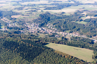 Bitche dans le département Moselle, France d'en haut