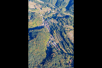 Vue aérienne de Oberschlettenbach dans le département Rhénanie-Palatinat, Allemagne