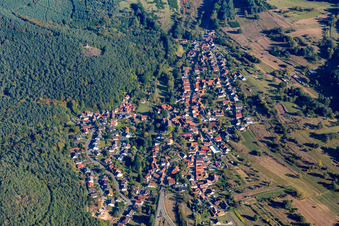 Vue aérienne de Champs agricoles et terres agricoles à Birkenhördt dans le département Rhénanie-Palatinat, Allemagne