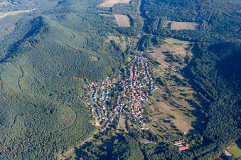 Vue aérienne de Champs agricoles et terres agricoles à Birkenhördt dans le département Rhénanie-Palatinat, Allemagne