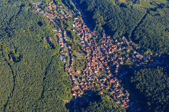 Photographie aérienne de Aperçu du village caché dans la forêt du Palatinat à Dörrenbach dans le département Rhénanie-Palatinat, Allemagne