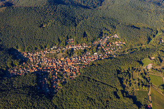 Vue aérienne de Paysage forestier et montagneux de la forêt du sud du Palatinat à Dörrenbach dans le département Rhénanie-Palatinat, Allemagne