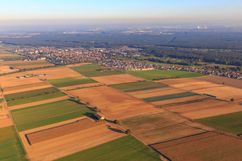 Vue aérienne de Vue de la ville depuis le nord-ouest à Kandel dans le département Rhénanie-Palatinat, Allemagne