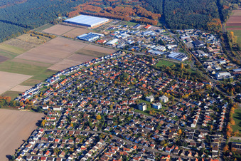 Vue aérienne de Aperçu de la ville jusqu'à la Kurt-Adam-Straße et la zone industrielle Waldstückerring avec Continental Reifen GmbH à Bellheim dans le département Rhénanie-Palatinat, Allemagne