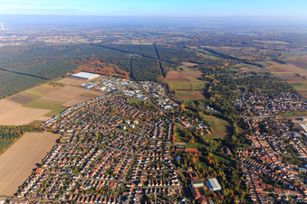 Vue aérienne de Aperçu de la ville jusqu'à la Kurt-Adam-Straße et la zone industrielle Waldstückerring avec Continental Reifen GmbH à Bellheim dans le département Rhénanie-Palatinat, Allemagne