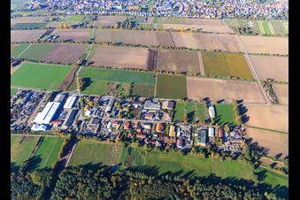 Vue aérienne de Zone commerciale Auf d. Weide vue du sud à le quartier Niederlustadt in Lustadt dans le département Rhénanie-Palatinat, Allemagne