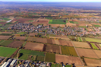 Vue aérienne de Vue d'ensemble de la ville depuis le sud à le quartier Niederlustadt in Lustadt dans le département Rhénanie-Palatinat, Allemagne