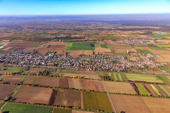 Vue aérienne de Vue d'ensemble de la ville depuis le sud à le quartier Niederlustadt in Lustadt dans le département Rhénanie-Palatinat, Allemagne