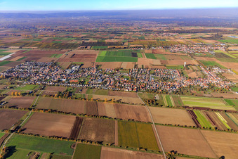 Photographie aérienne de Vue d'ensemble de la ville depuis le sud à le quartier Niederlustadt in Lustadt dans le département Rhénanie-Palatinat, Allemagne