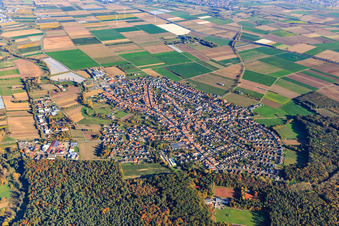 Vue aérienne de Vue d'ensemble du village derrière la forêt depuis l'ouest à Harthausen dans le département Rhénanie-Palatinat, Allemagne