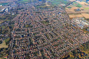 Vue aérienne de Vue d'ensemble de la ville depuis le sud à Schifferstadt dans le département Rhénanie-Palatinat, Allemagne