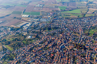Vue oblique de Zone urbaine avec périphérie et centre-ville à Schifferstadt dans le département Rhénanie-Palatinat, Allemagne