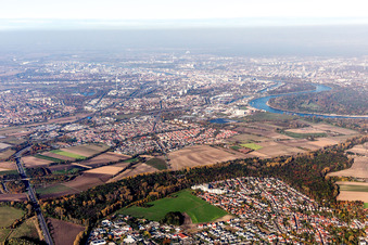 Vue aérienne de Quartier Rheingönheim in Ludwigshafen am Rhein dans le département Rhénanie-Palatinat, Allemagne