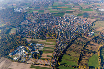 Vue aérienne de Centre agricole BASF au premier plan de la vue de la ville de Limburgerhof à Limburgerhof dans le département Rhénanie-Palatinat, Allemagne