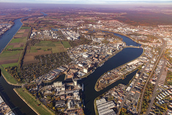 Vue oblique de Port industriel de Friesenheimer Insel à le quartier Neckarstadt-West in Mannheim dans le département Bade-Wurtemberg, Allemagne