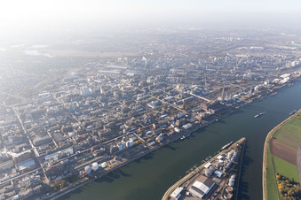 Image drone de Quartier BASF in Ludwigshafen am Rhein dans le département Rhénanie-Palatinat, Allemagne