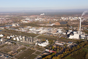 Vue aérienne de Ölhafenstraße Friesenheimer Insel à le quartier Neckarstadt-West in Mannheim dans le département Bade-Wurtemberg, Allemagne