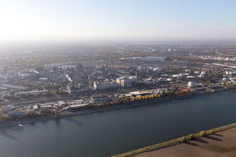 Photographie aérienne de Quartier BASF in Ludwigshafen am Rhein dans le département Rhénanie-Palatinat, Allemagne