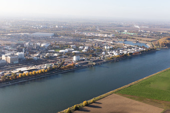 Vue oblique de Quartier BASF in Ludwigshafen am Rhein dans le département Rhénanie-Palatinat, Allemagne