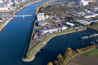 Photographie aérienne de Île sur les rives du Rhin et du Friesenheimer Altrhein dans le district de Friesenheimer Insel à le quartier Neckarstadt-West in Mannheim dans le département Bade-Wurtemberg, Allemagne