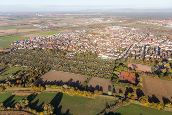 Vue aérienne de Zone de peuplement à le quartier Sandhofen in Mannheim dans le département Bade-Wurtemberg, Allemagne