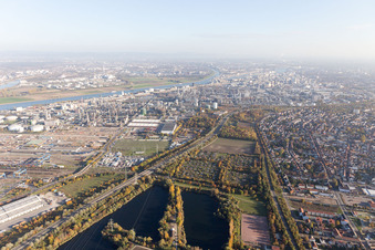 Quartier BASF in Ludwigshafen am Rhein dans le département Rhénanie-Palatinat, Allemagne vue du ciel
