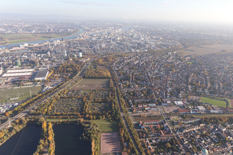 Vue d'oiseau de Quartier Oppau in Ludwigshafen am Rhein dans le département Rhénanie-Palatinat, Allemagne