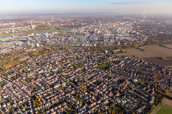 Photographie aérienne de Quartier Oppau in Ludwigshafen am Rhein dans le département Rhénanie-Palatinat, Allemagne