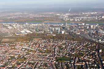 Vue oblique de Quartier Oppau in Ludwigshafen am Rhein dans le département Rhénanie-Palatinat, Allemagne