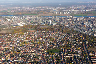 Vue aérienne de Site de l'usine du producteur chimique BASF entre le Rhin et à le quartier Oppau in Ludwigshafen am Rhein dans le département Rhénanie-Palatinat, Allemagne