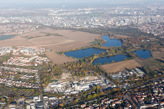 Vue aérienne de Willersinnweier à le quartier Oppau in Ludwigshafen am Rhein dans le département Rhénanie-Palatinat, Allemagne