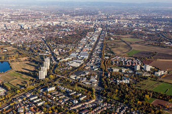 Vue aérienne de Industriestr à le quartier Friesenheim in Ludwigshafen am Rhein dans le département Rhénanie-Palatinat, Allemagne