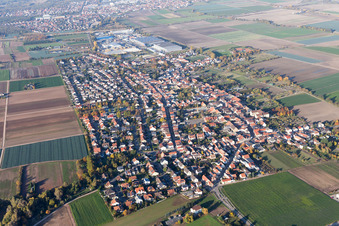 Vue aérienne de Champs agricoles et terres agricoles à Fußgönheim dans le département Rhénanie-Palatinat, Allemagne