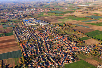 Vue aérienne de Vue de la ville depuis le sud à Fußgönheim dans le département Rhénanie-Palatinat, Allemagne