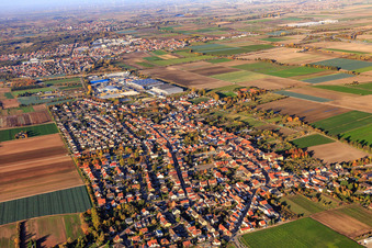 Vue aérienne de Vue de la ville depuis le sud à Fußgönheim dans le département Rhénanie-Palatinat, Allemagne