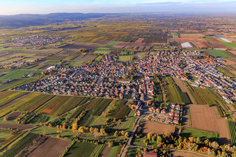 Vue aérienne de Vue d'ensemble du village depuis le sud à Meckenheim dans le département Rhénanie-Palatinat, Allemagne