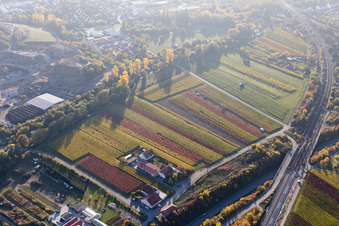 Vue aérienne de Auberge du Manoir Holzhof à Neustadt an der Weinstraße dans le département Rhénanie-Palatinat, Allemagne