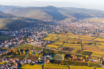 Vue aérienne de Vignobles du district de Hambach à le quartier Hambach an der Weinstraße in Neustadt an der Weinstraße dans le département Rhénanie-Palatinat, Allemagne