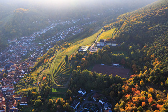 Vue aérienne de Hôtel Arens à 327 m d'altitude entre forêt, terrain de sport Sankt Martin et vignobles à le quartier SaintMartin in Sankt Martin dans le département Rhénanie-Palatinat, Allemagne
