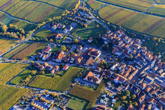 Vue aérienne de Maikammerer Straße avec Weingut Gernert - Landhotel Garni, Wein & Sekthaus Alois Kiefer GmbH - Vinothek, Wein & Sekthof Holger Schneider et Hôtel Consulat des Wein à le quartier SaintMartin in Sankt Martin dans le département Rhénanie-Palatinat, Allemagne