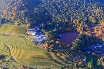Vue aérienne de Hôtel Arens à 327 m d'altitude entre forêt, terrain de sport Sankt Martin et vignes herbacées colorées à le quartier SaintMartin in Sankt Martin dans le département Rhénanie-Palatinat, Allemagne