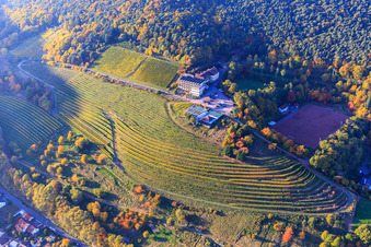 Photographie aérienne de Hôtel Arens à 327 m d'altitude entre forêt, terrain de sport Sankt Martin et vignes herbacées colorées à le quartier SaintMartin in Sankt Martin dans le département Rhénanie-Palatinat, Allemagne