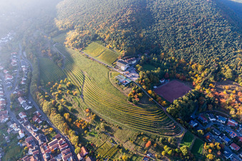 Vue aérienne de Maison sur le vignoble à le quartier SaintMartin in Sankt Martin dans le département Rhénanie-Palatinat, Allemagne