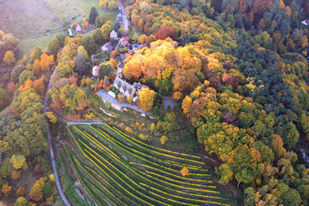 Vue aérienne de Le château de Kropsburg aux couleurs d'automne vu de l'est à le quartier SaintMartin in Sankt Martin dans le département Rhénanie-Palatinat, Allemagne