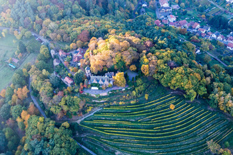 Vue aérienne de Restaurant Schloss Kropsburg à le quartier SaintMartin in Sankt Martin dans le département Rhénanie-Palatinat, Allemagne