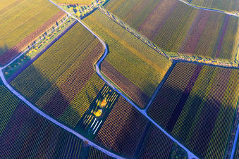 Vue aérienne de Lumière d'automne colorée des vignes des vignobles à le quartier SaintMartin in Sankt Martin dans le département Rhénanie-Palatinat, Allemagne