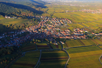 Vue aérienne de Village viticole au bord du Haardt aux couleurs d'automne du sud à le quartier SaintMartin in Sankt Martin dans le département Rhénanie-Palatinat, Allemagne