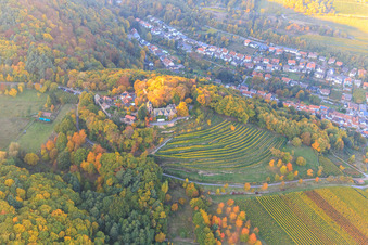 Photographie aérienne de Le château de Kropsburg aux couleurs d'automne vu du sud à le quartier SaintMartin in Sankt Martin dans le département Rhénanie-Palatinat, Allemagne
