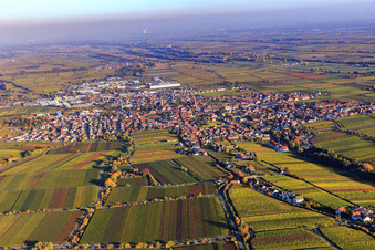 Vue aérienne de Vue de la ville le soir en automne depuis l'ouest à Edenkoben dans le département Rhénanie-Palatinat, Allemagne