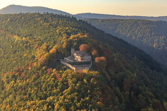 Vue aérienne de Ruines du château de Rietburg à Herbswald à Venningen dans le département Rhénanie-Palatinat, Allemagne
